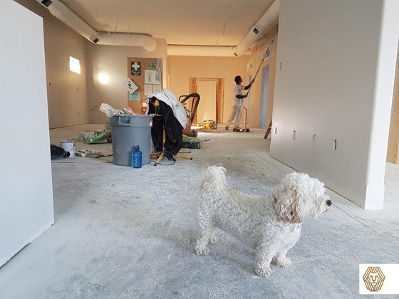 Maserat Developments: Custom Build Construction Management Services